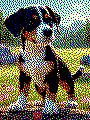 Beispielmotiv Hund
