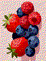 Beispielmotiv Waldbeeren