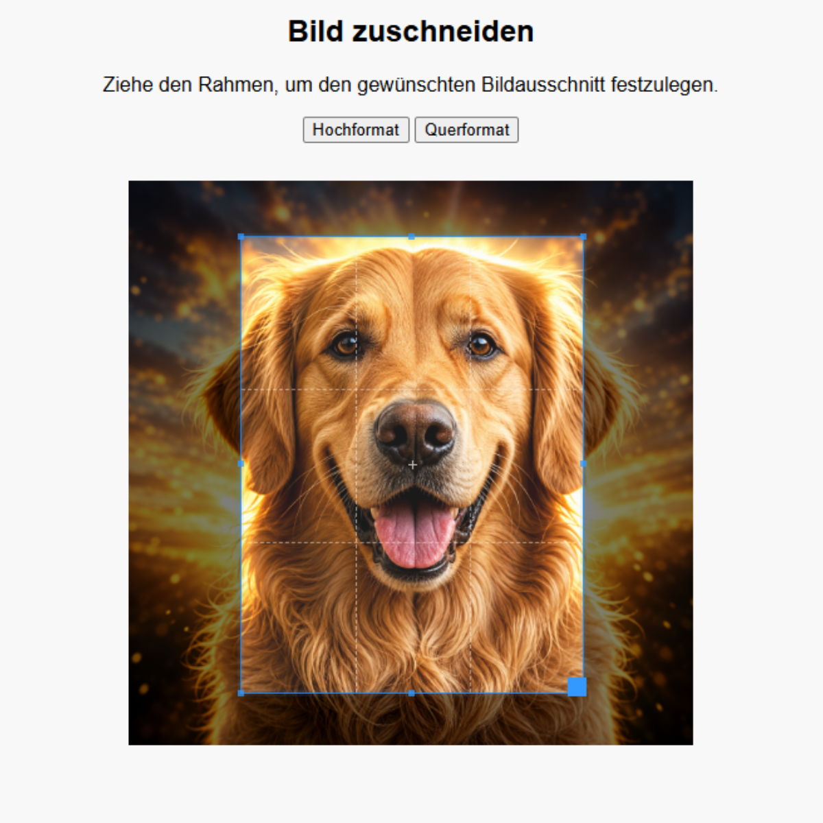 Malen nach Zahlen – ✂️ Ausschnitt