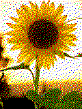 Sonnenblume Kreativvorlage in MAXI