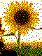 Sonnenblume Kreativvorlage in MINI