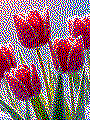 Frühlingsblume als Kreativvorlage