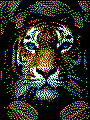 Tiger als Kreativvorlage