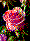 Rose Kreativvorlage in MINI