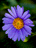 Blume Kreativvorlage in MAXI