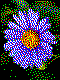 Blume Kreativvorlage in MINI
