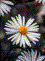 Blume Kreativvorlage in MIDI