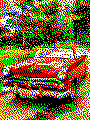 Oldtimer Kreativvorlage in MIDI